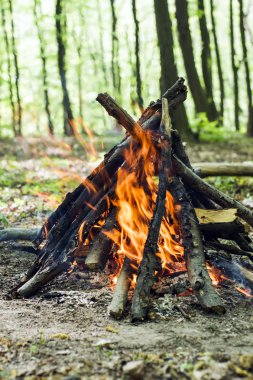 Forest   bonfire recreation